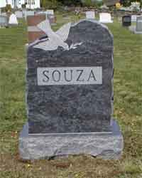 Descending Dove Of Peace